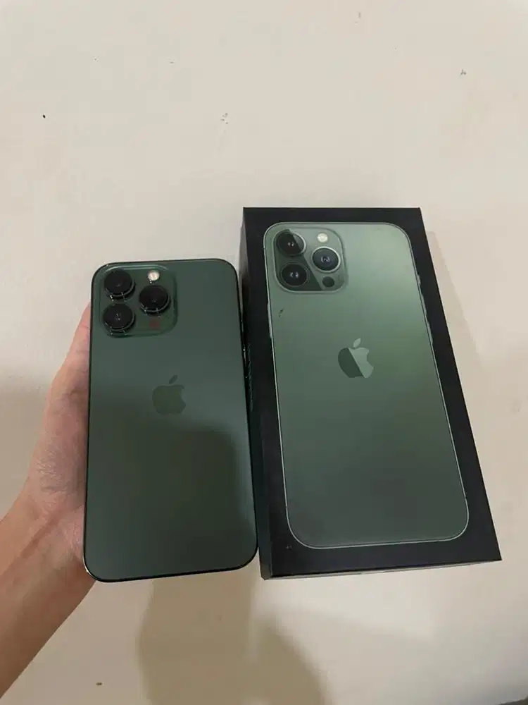 Iphone 13 Pro 256Gb Mulus