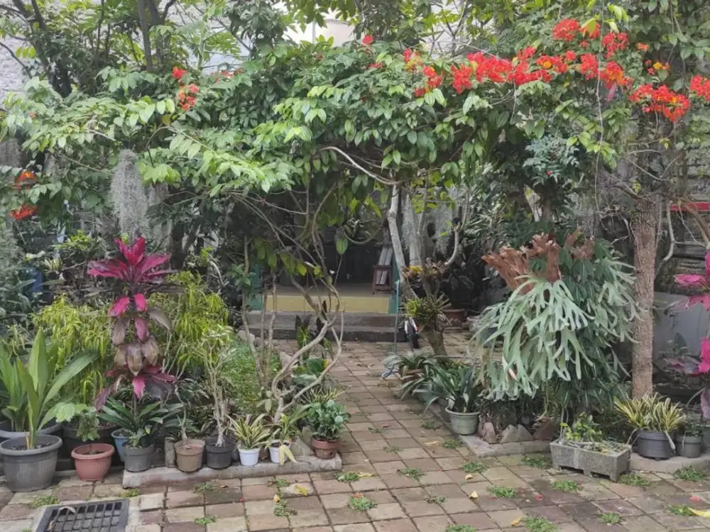 rumah dengan lingkungan asri di cigadung turun harga