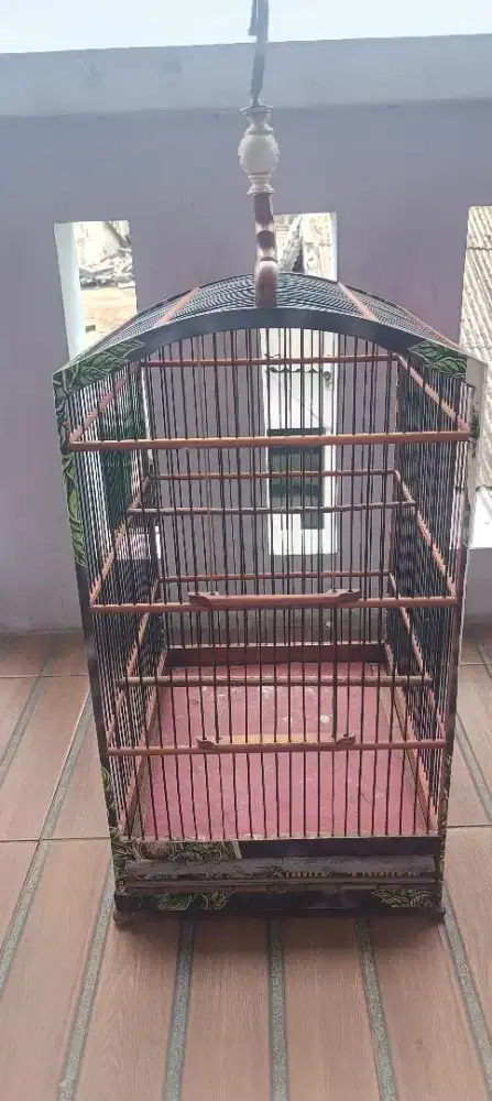 Burung masteran kandang kotak