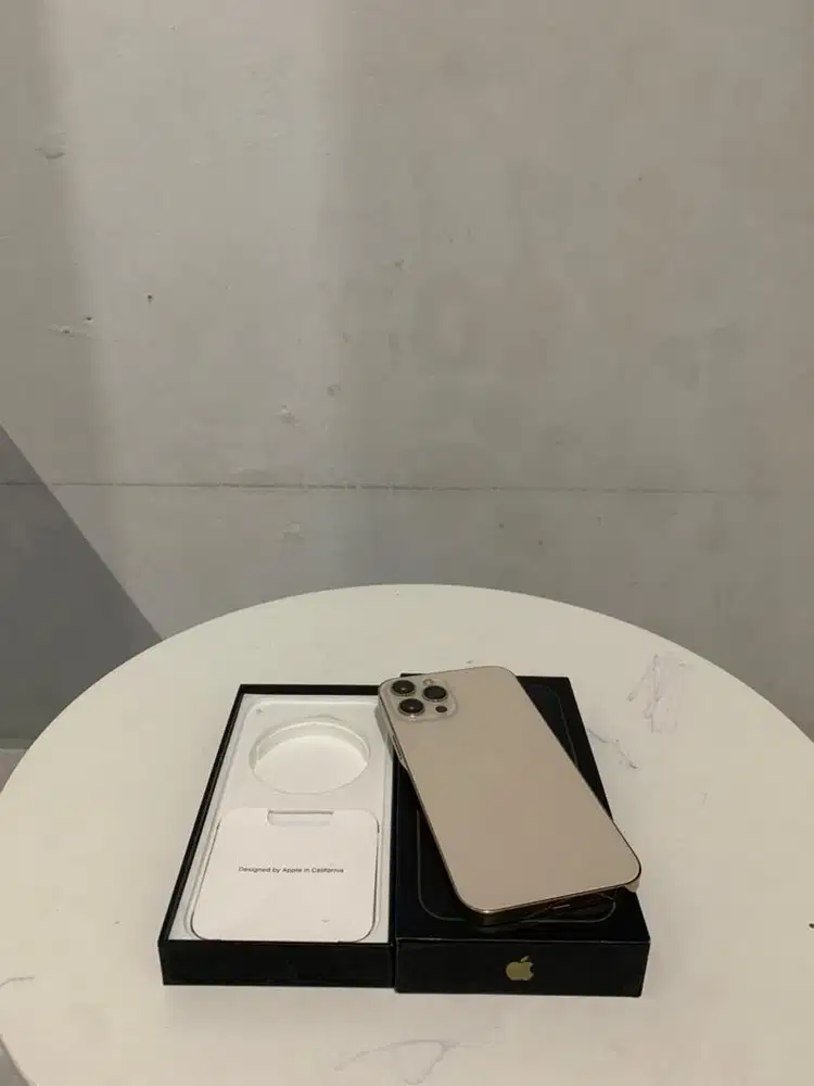 Iphone 12 Pro Max 128Gb - Ex Ibox (Nego)