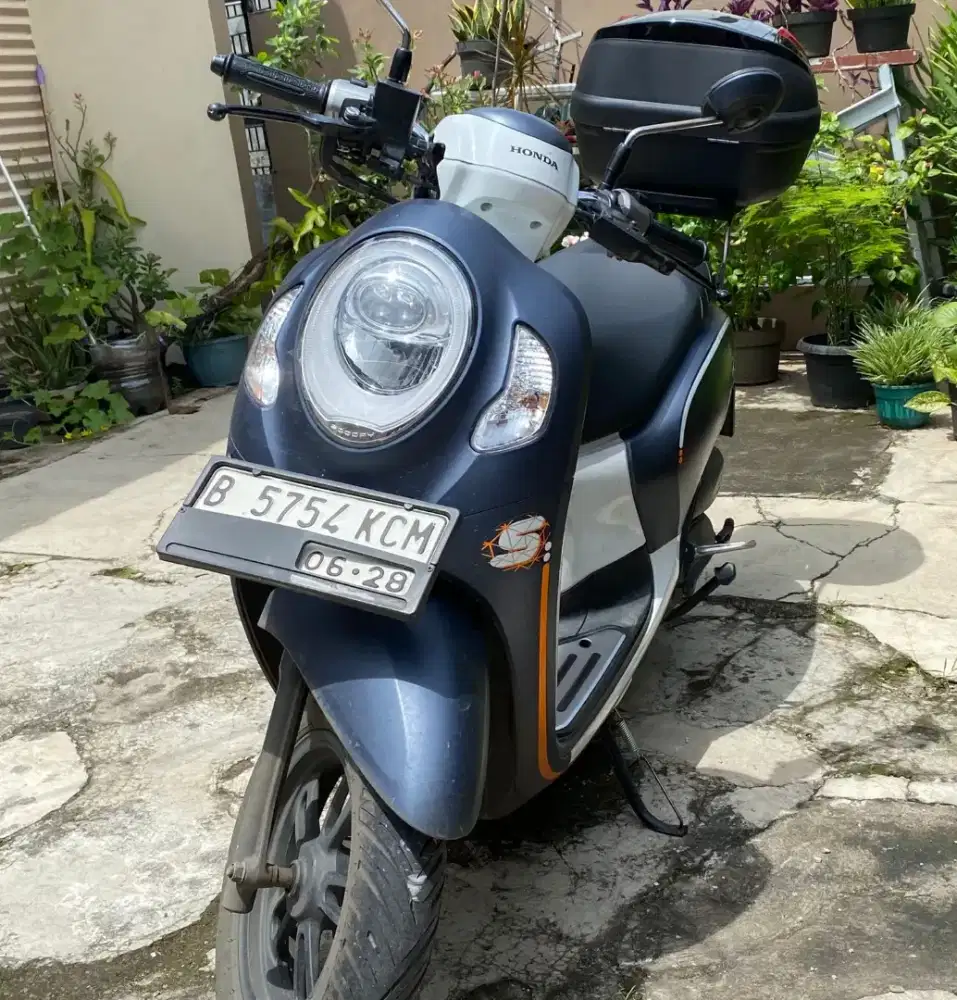 Jual Scoopy Fashion 2023