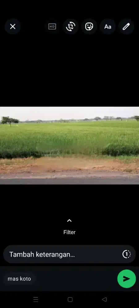 DIJUAL SAWAH 1850 m²