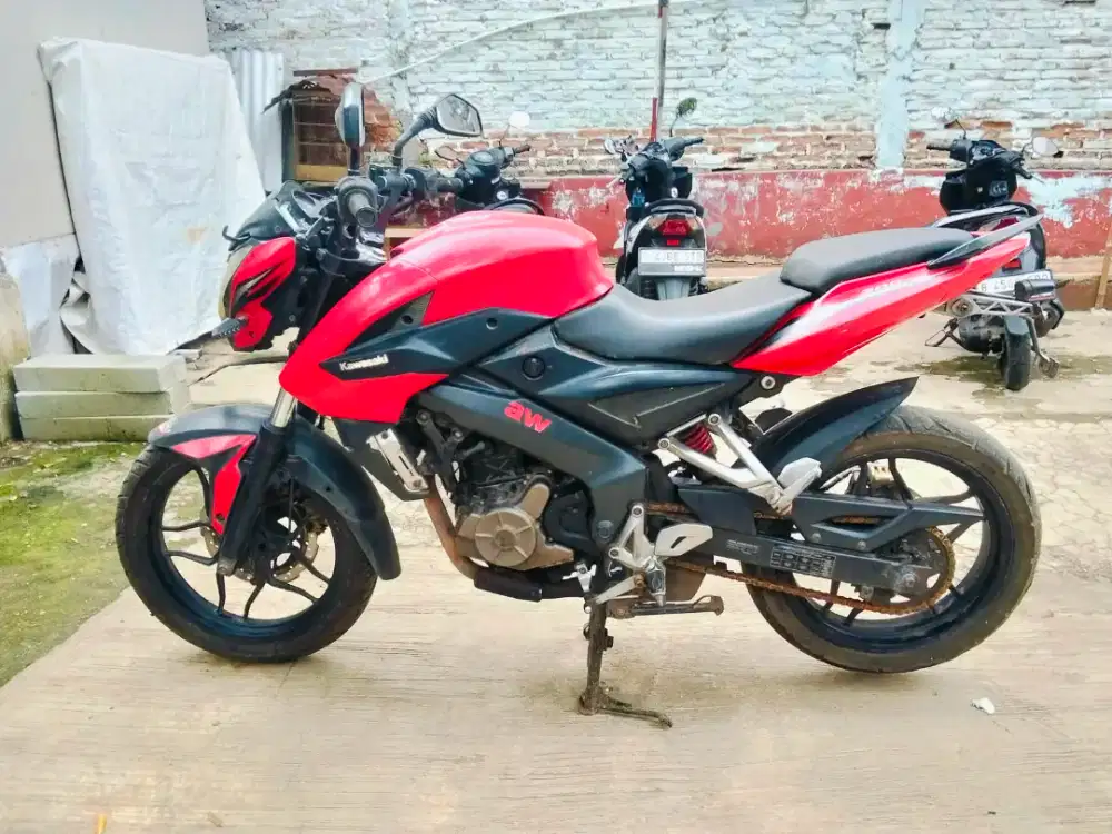 Kawasaki pulsar 200ns