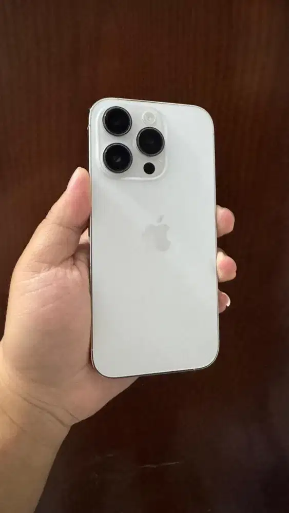 Iphone 14 Pro 256GB Silver