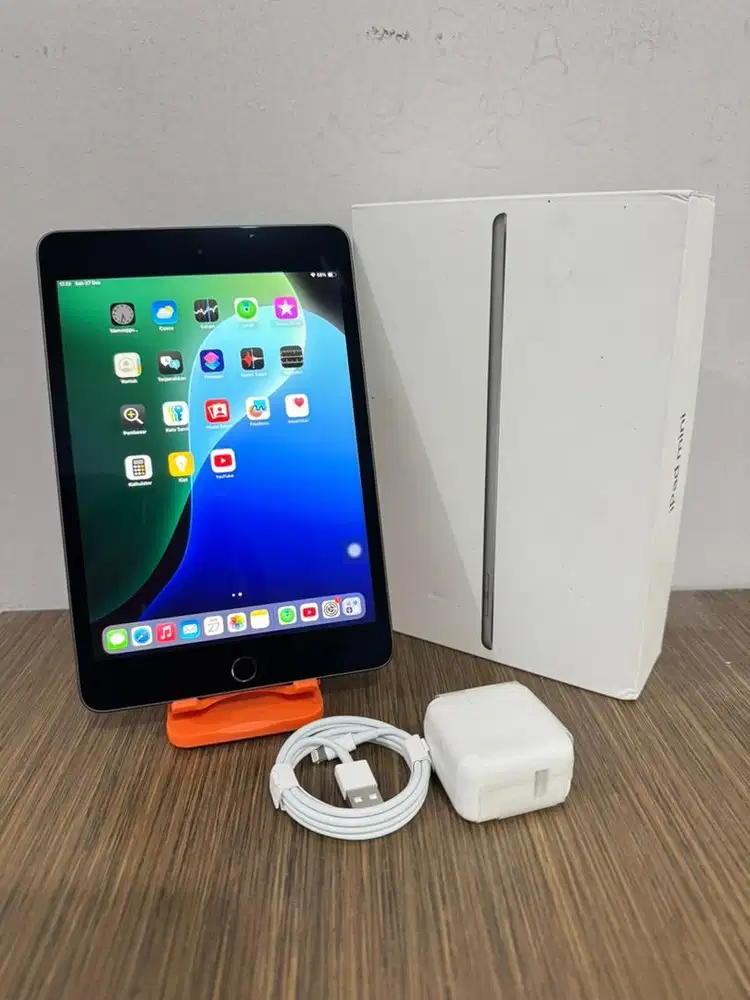 iPad Mini 5 256gb Wifionly Fullset Original
