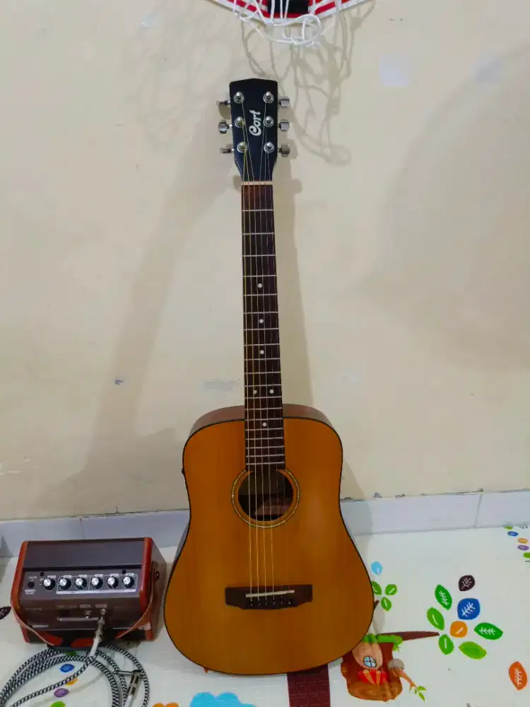 Cort ad mini Fishman isys+