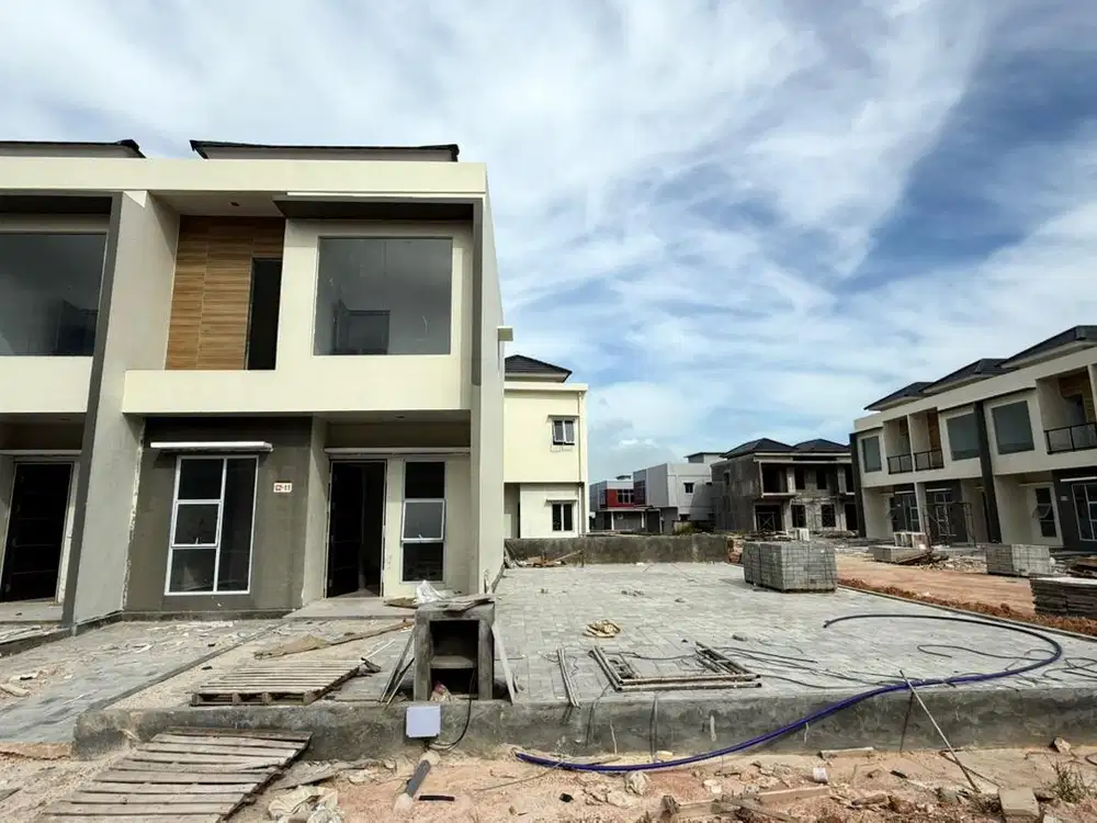 Di Jual Murah Golden BCI Cluster Coral