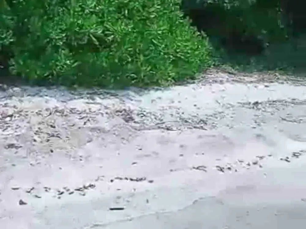 Dijual Cepat Tanah Daerah Pariwisata Pulau Moyo Sumbawa