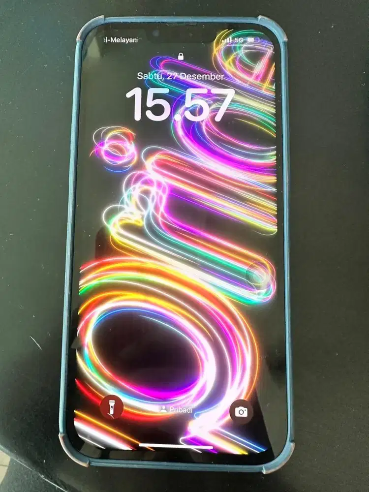 iPhone 13 ProMax 256 GB