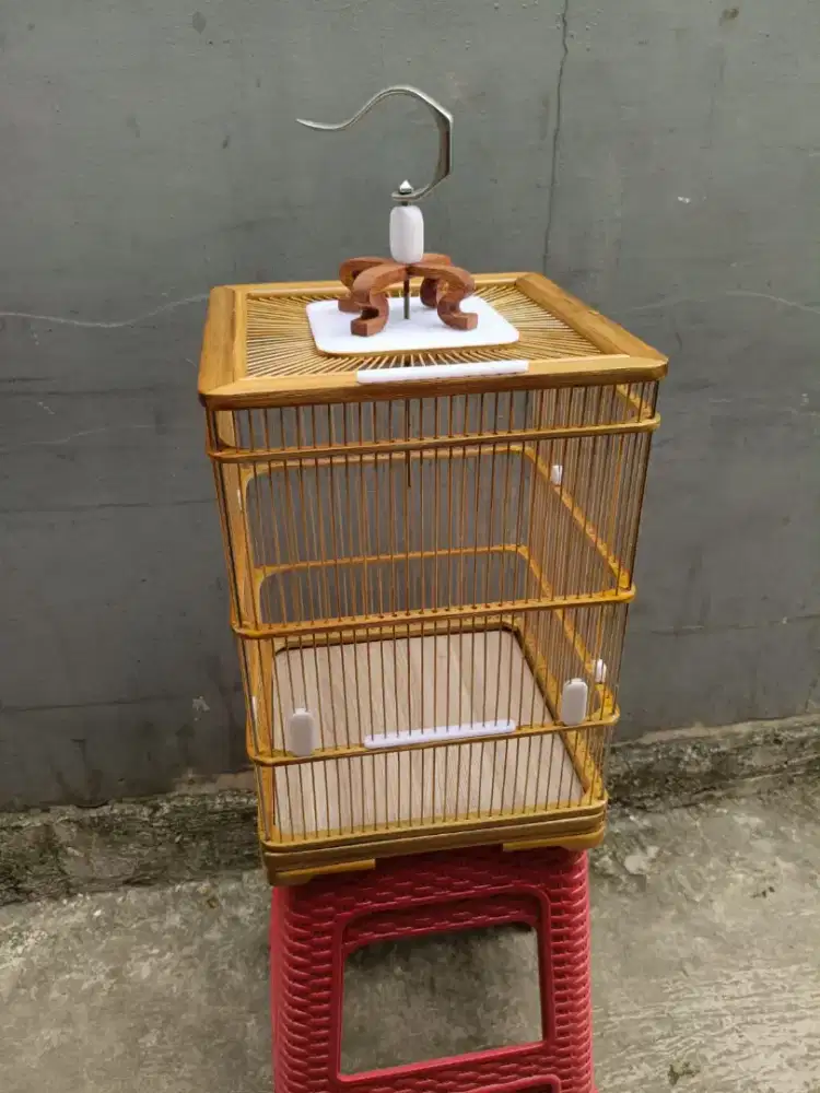 Sangkar cungkok lokal ukuran 30x30cm