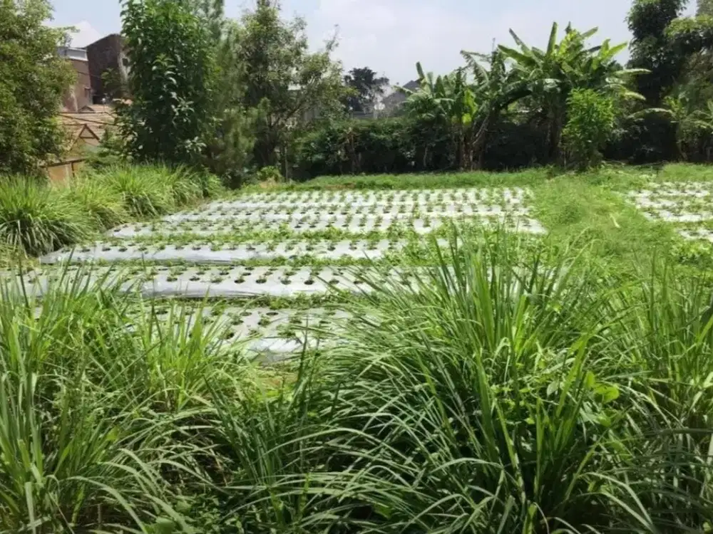 Setiabudi Regency, Setiabudi. Tanah Kavling Siap Bangun Di Bandung