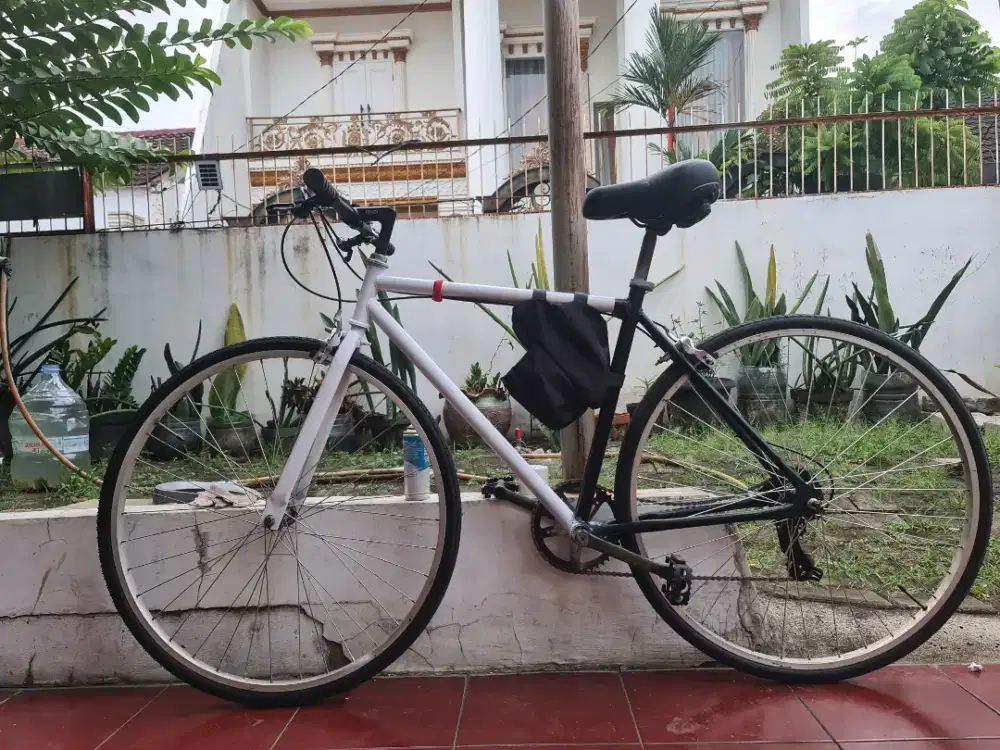 Sepeda Basic Fixie Custom Gear 7 speed plus brake set