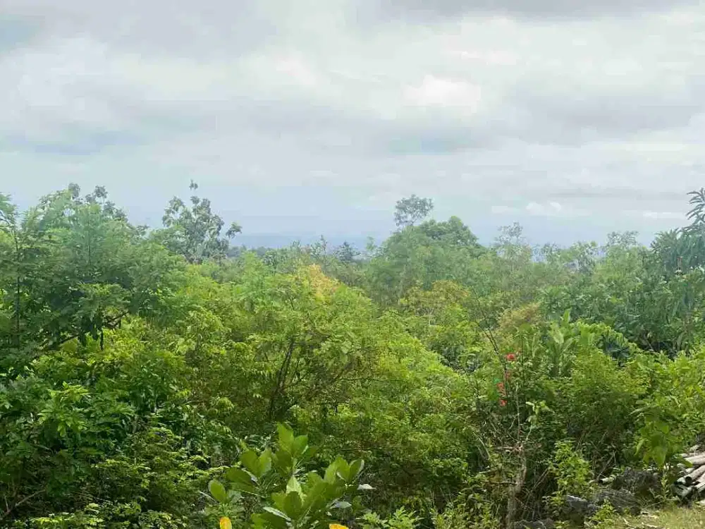 disewakan tanah ocean view Kawasan Melasti beach Ungasan Kuta Selatan Badung Bali
