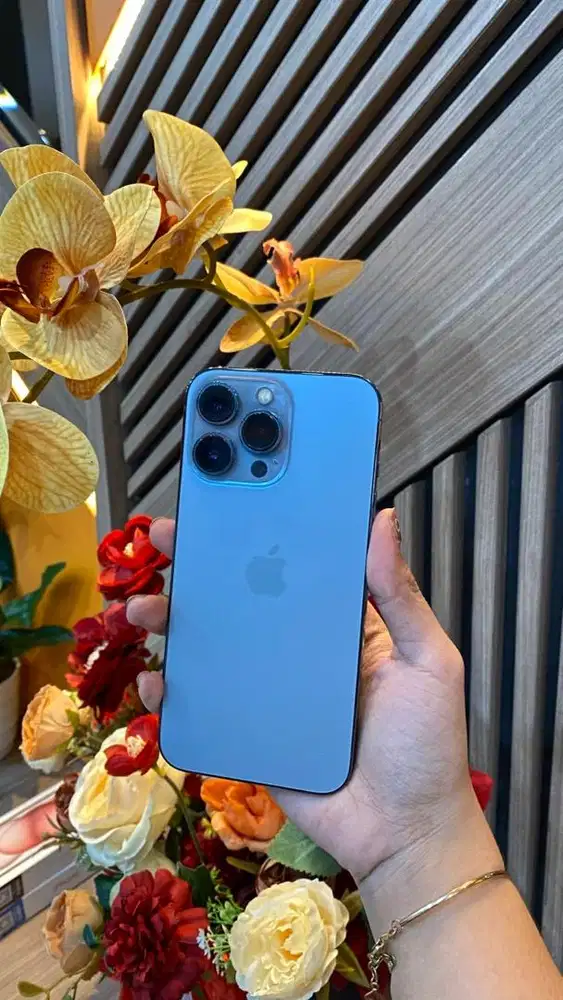 iphone 13 pro second