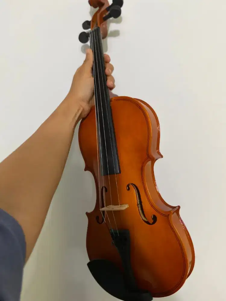 Biola vienna jual aj