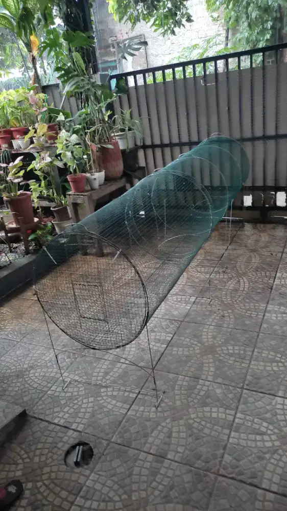 Umbaran burung bulat