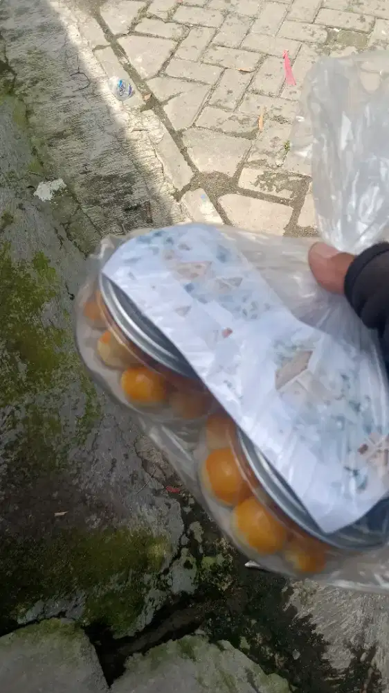 Butuh perkerjaan helper mekanik