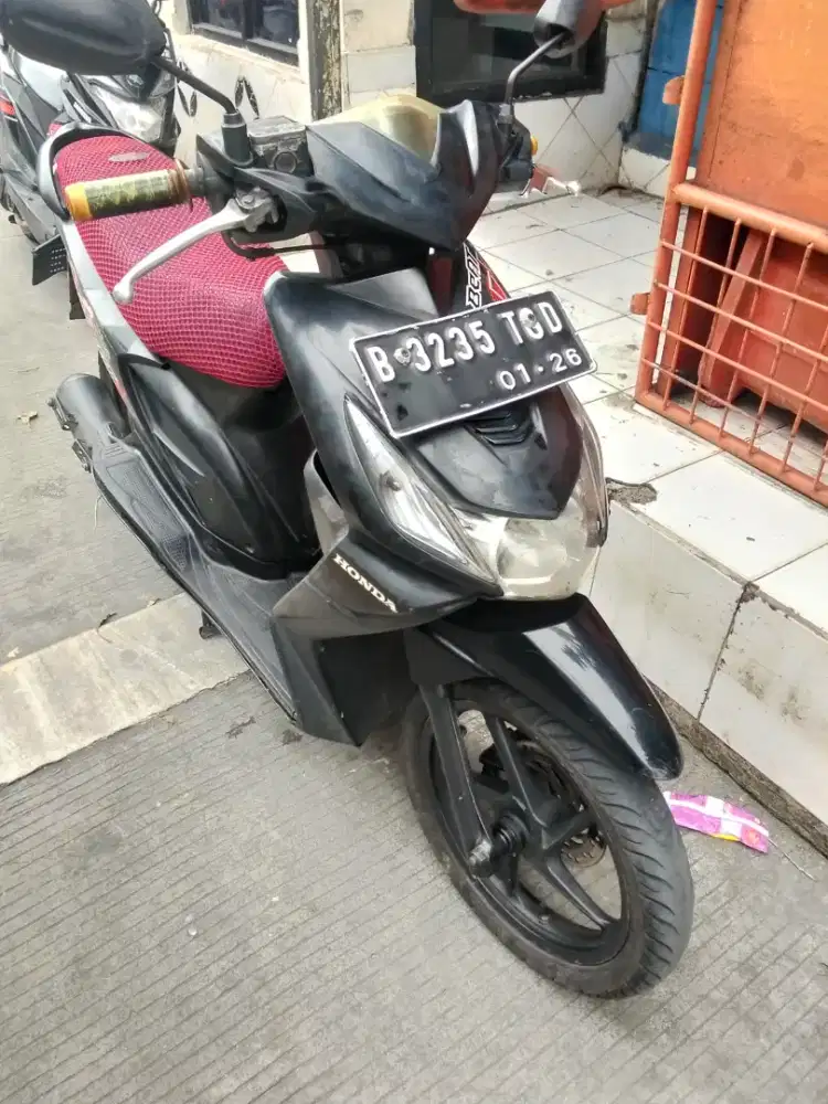 Mio halus mulus skli