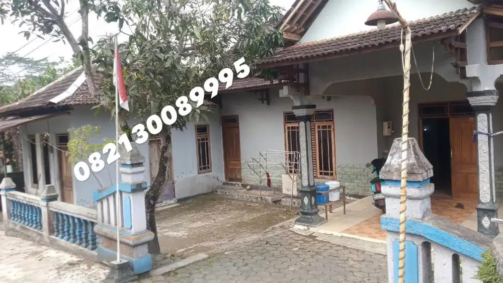 Jual tanah 914m2 pinggir jalan provinsi gratis rumah