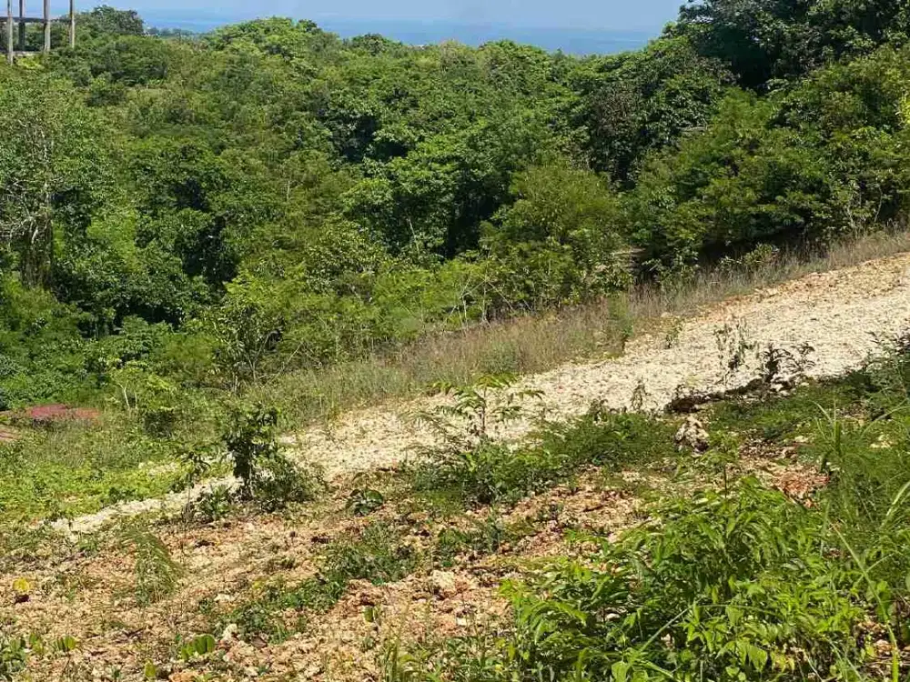 disewakan tanah 18 are ocean view dekat  Beverly hills vila Ungasan Kuta Selatan Badung Bali