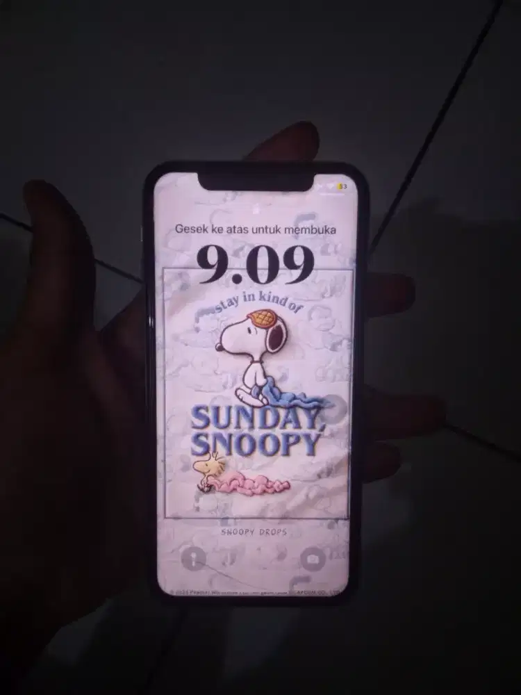 Iphone X 256 GB Wifi Only