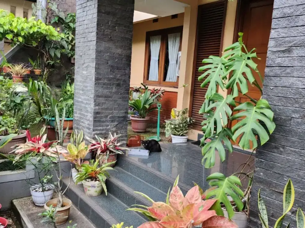 rumah siap huni 2,5 lt di cijagra harga masih bisa nego