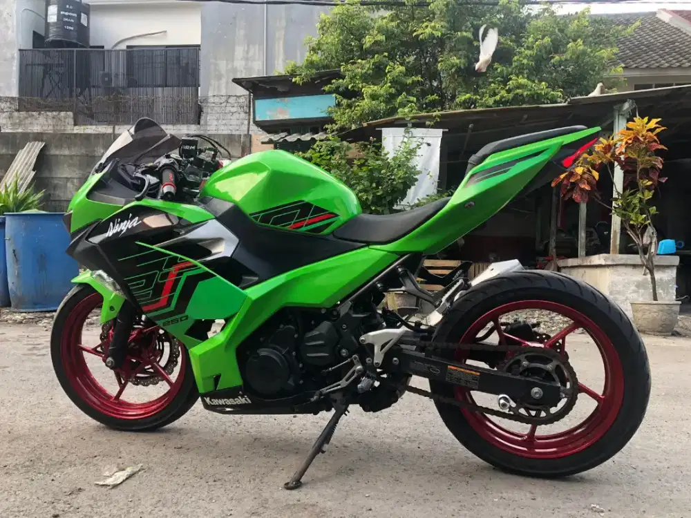 Kawasaki all new ninja 2019 plat baru