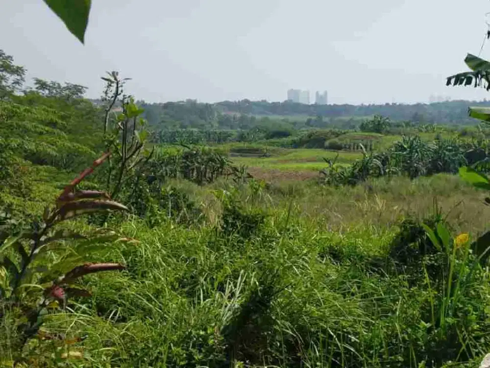 Dijual Tanah di Tanah Jl. Lingkar Sel desa Kranggan Setu Tangerang