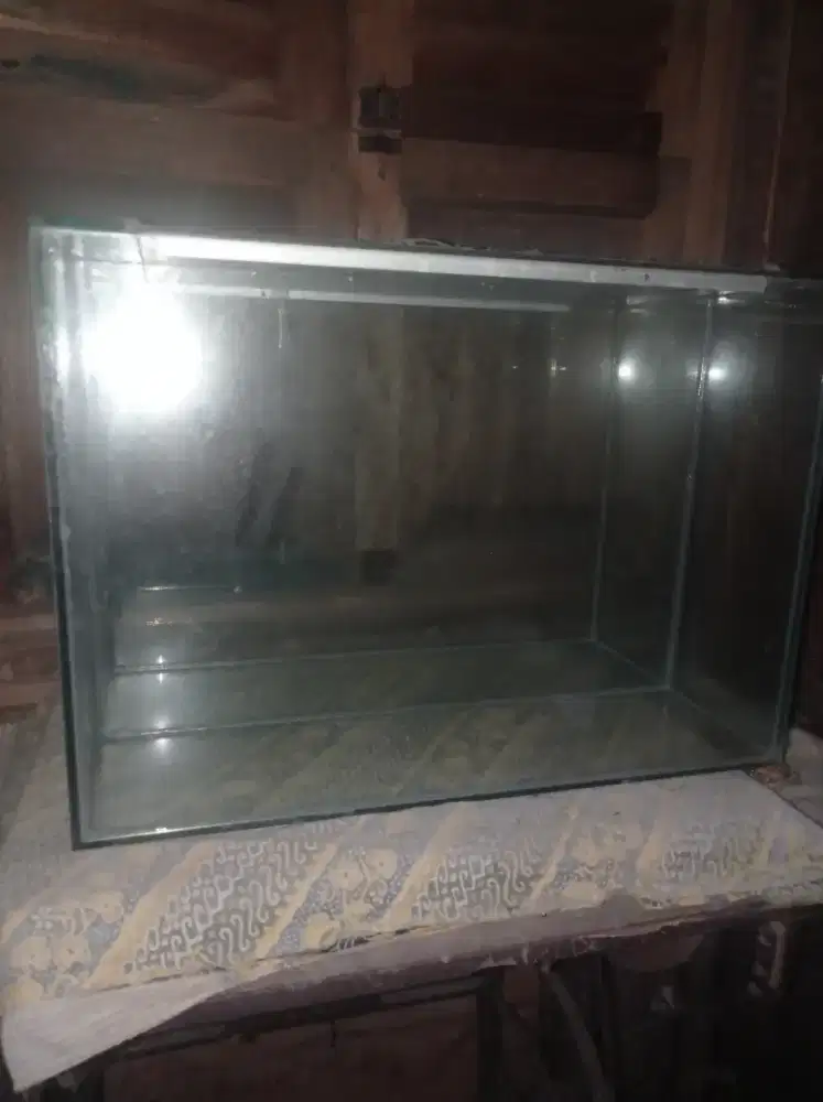 Aquarium Baru bisa cod