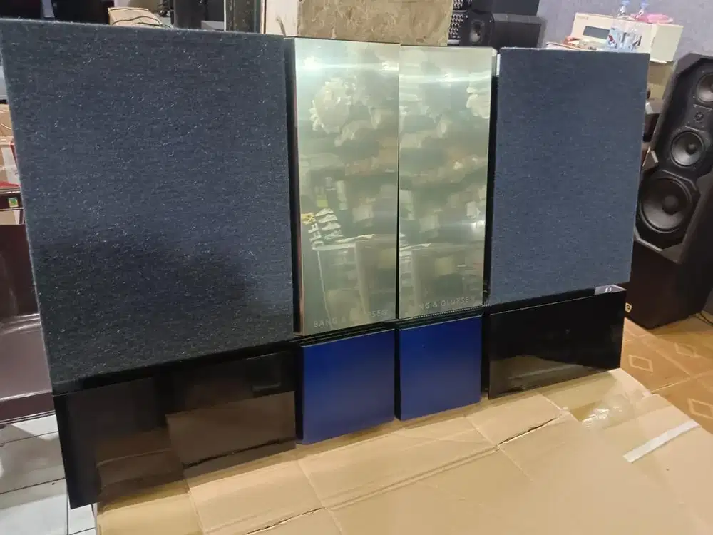 Speaker Bang & Olufsen BEOLAB 4500