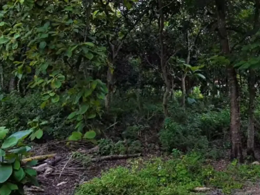 Murah mriah, tanah pekarangan datar SHMp