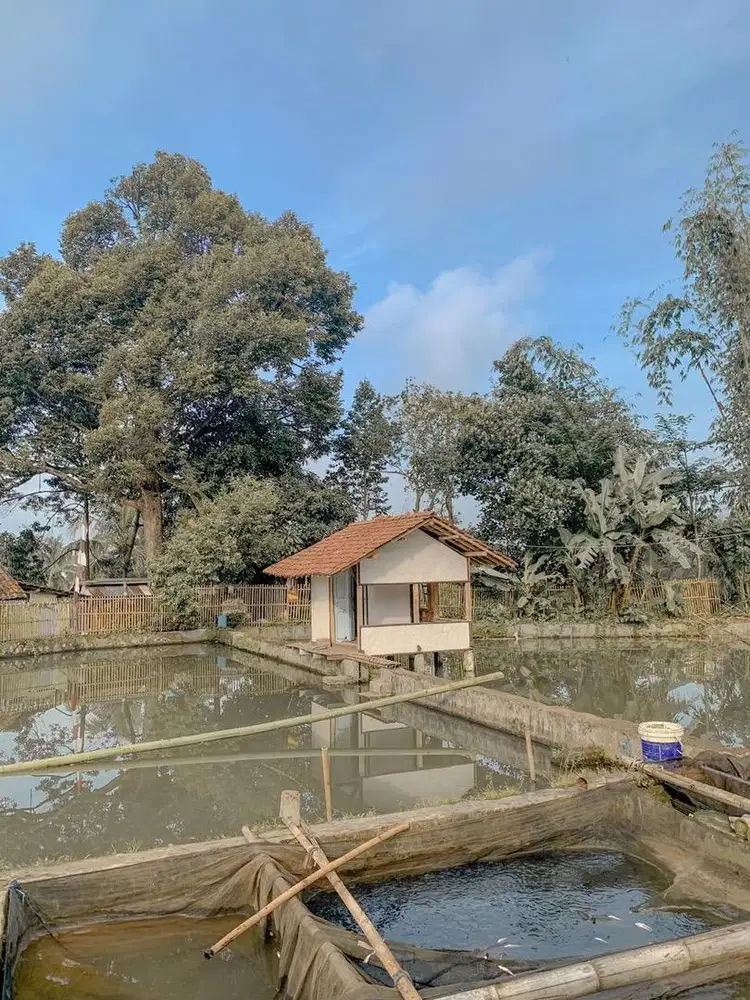 Tanah Kolam dan Darat Murah
