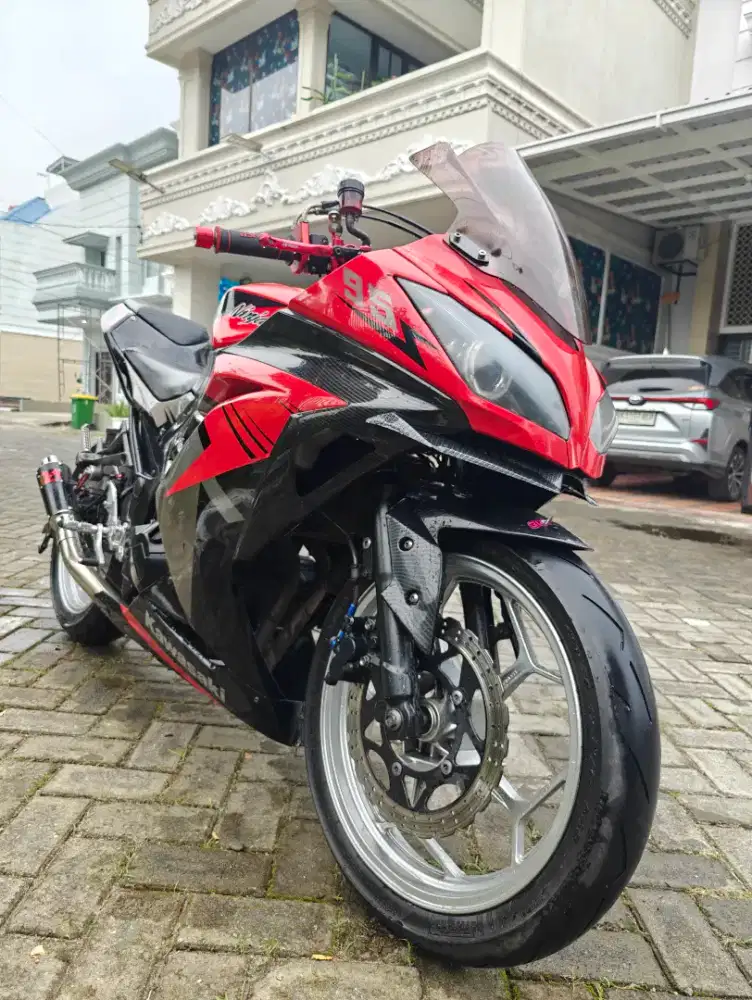 Kawasaki ninja 250 WARRIOR