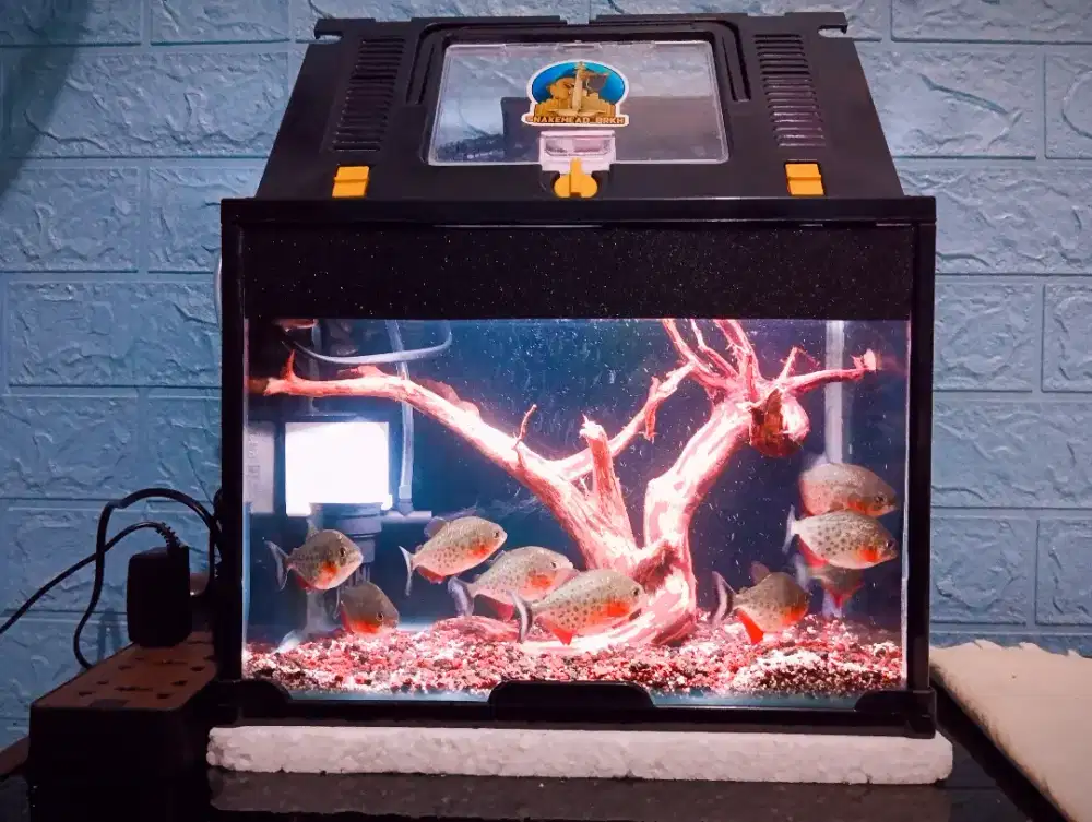 Aquarium Acrilic Fullset 30cm