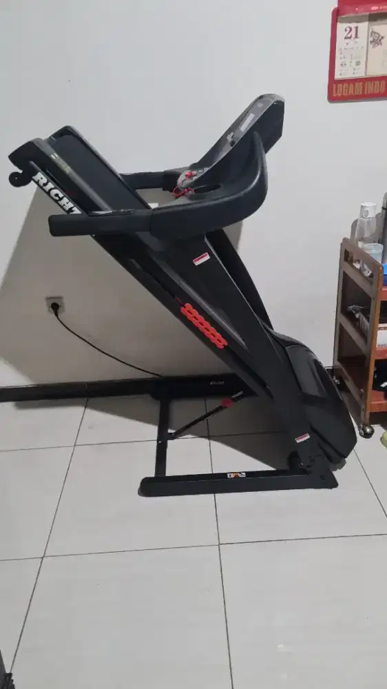 alat treadmill richter euphoria