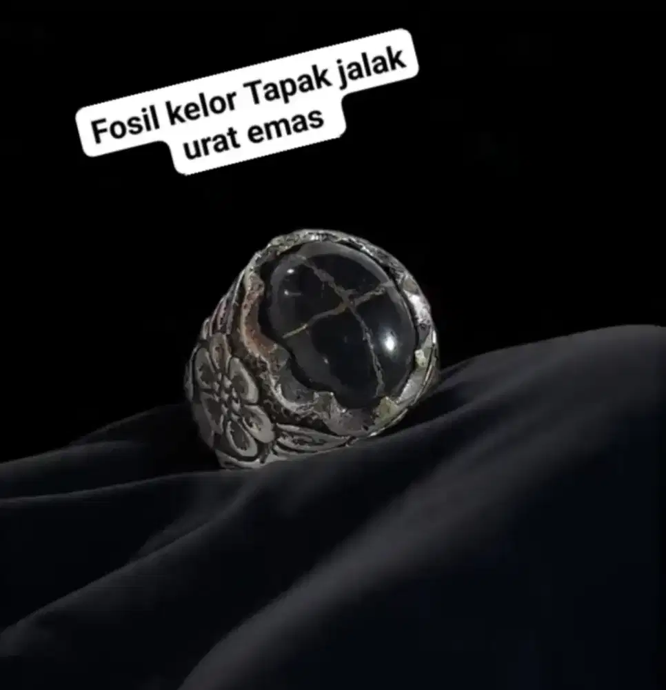 Batu fosil kelor tapak jalak urat emas