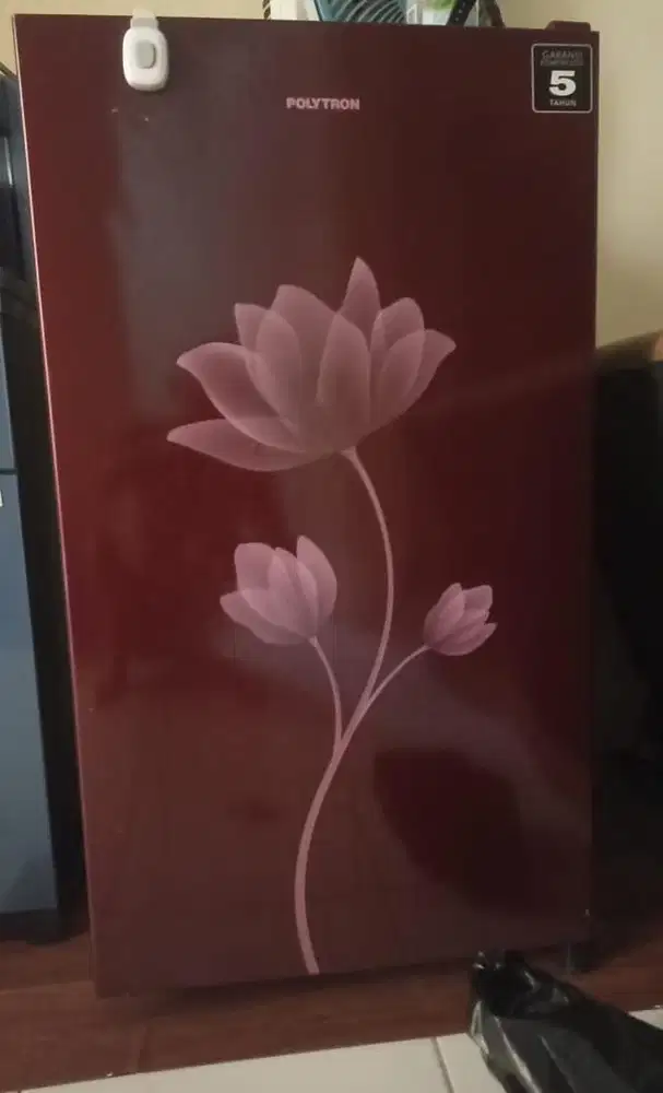 Kulkas Polytron 1 Pintu