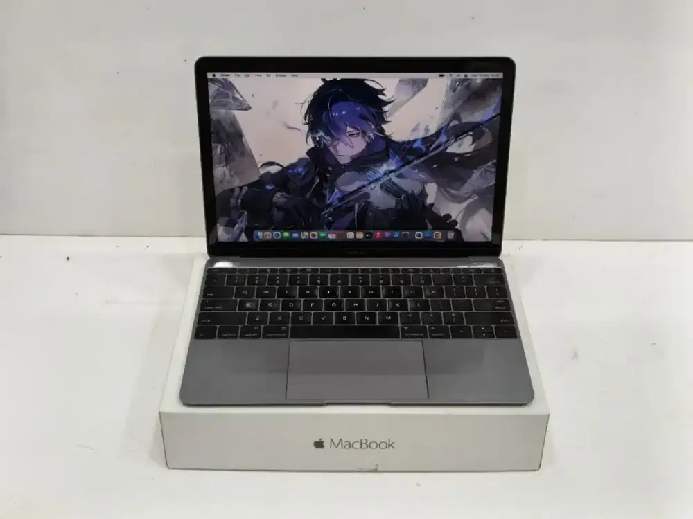 Macbook Retina 12-inc,Early 2015 core M
Ram 8gb Ssd 512gb x ibox