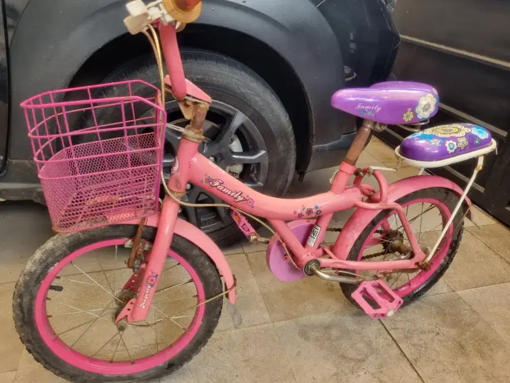 Sepeda anak anak family