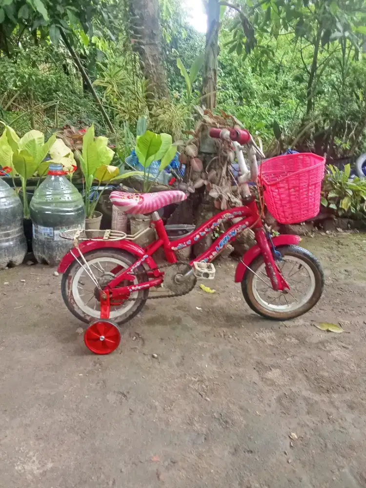 Sepeda anak murah 12 dan 16 san