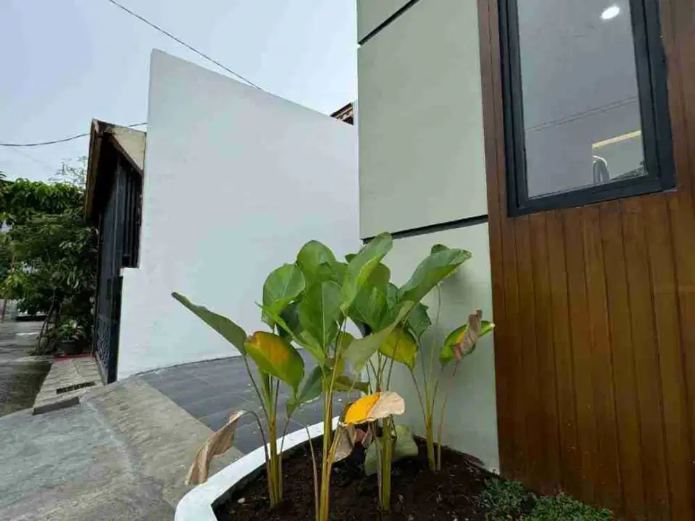 Rumah Cantik Gaperta Cempaka Design Kekinian Ada Taman Dalam