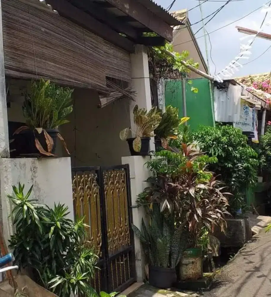 JUAL CEPAT BU NEGO RUMAH PISANGAN LAMA RT6 RW3 NO3C PS ENJO JATINEGARA