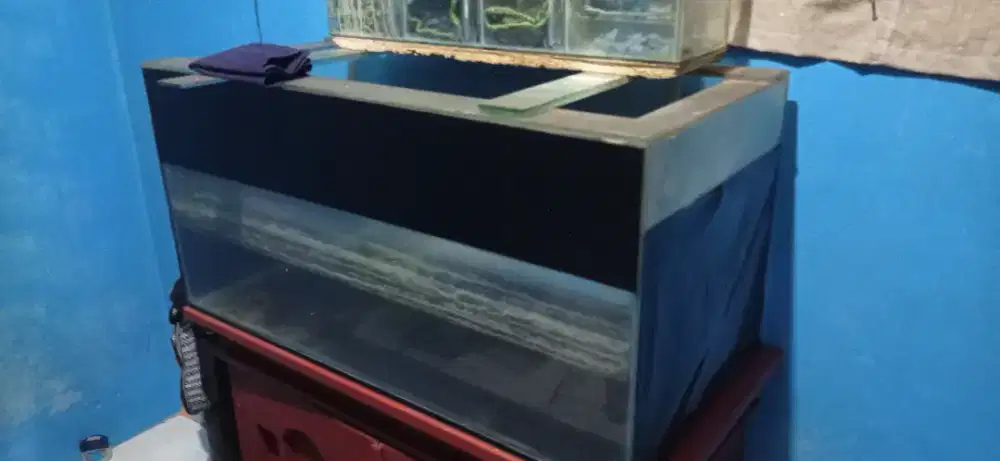 Aquarium 80x40x40