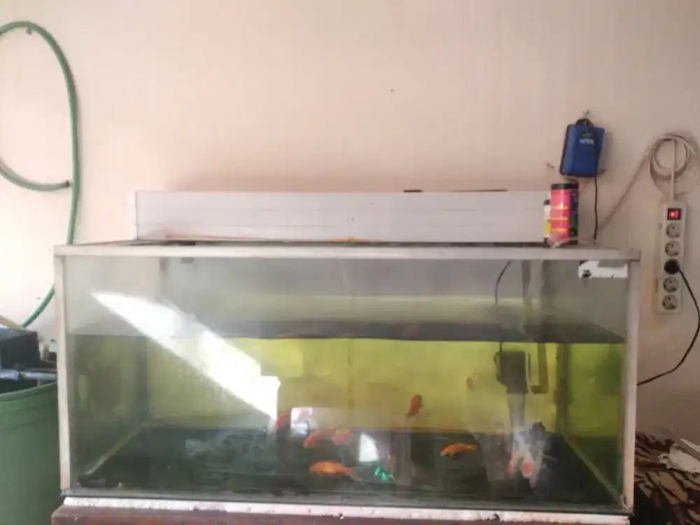 Jual Aquarium 1meter Borongan