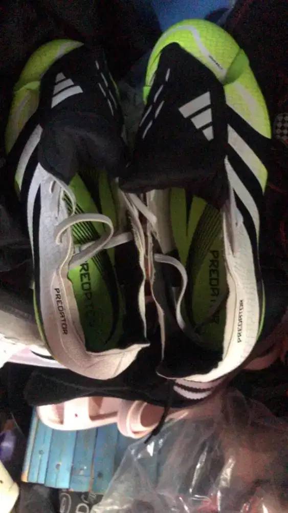 Sepatu Bola Adidas Predator Original