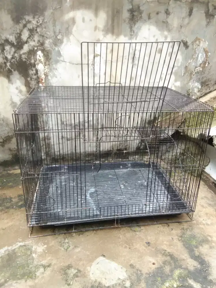 Kandang Kotak Besi