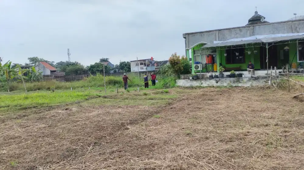 Tanah di Klipang Sambiroto Ketileng