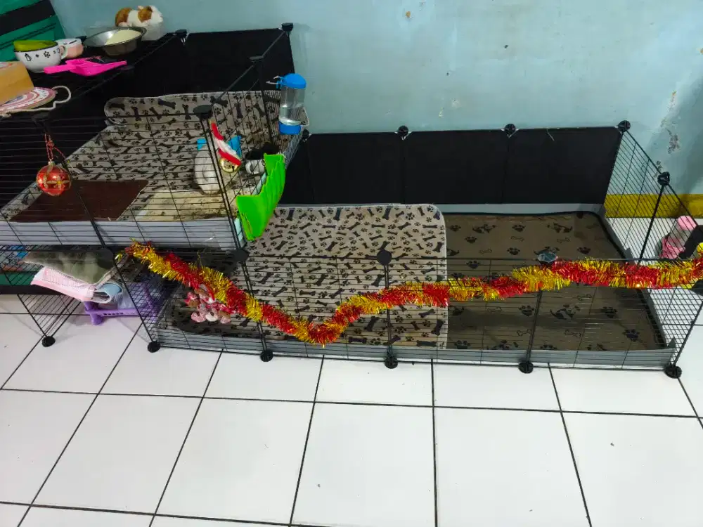 Kandang hewan C&C Cage