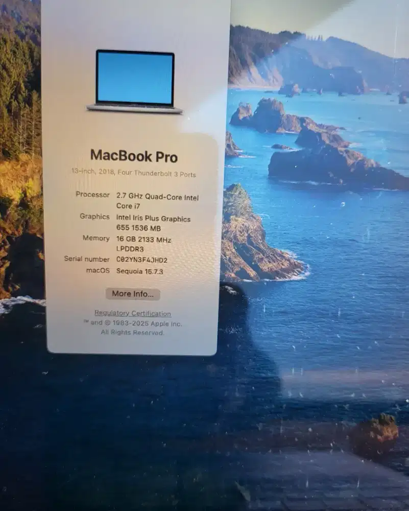 Bu, Laptop MacBook Pro 2018