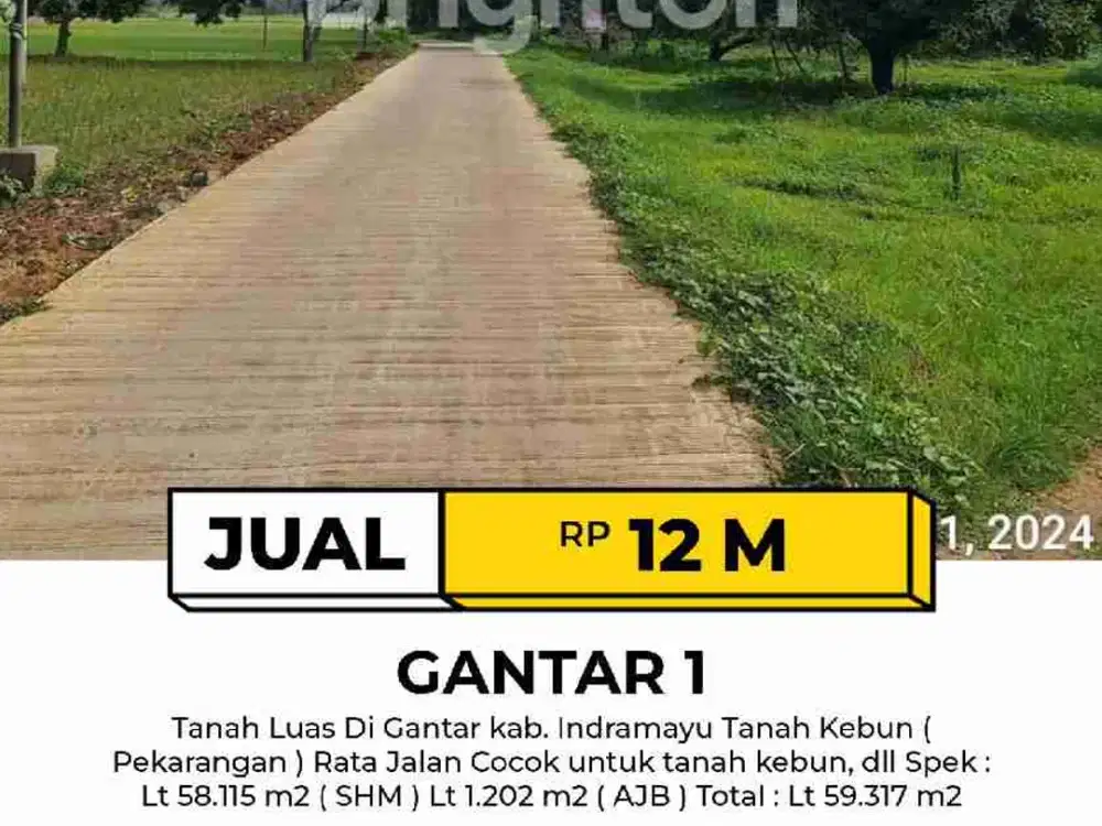Tanah Luas Di Gantar Indramayu